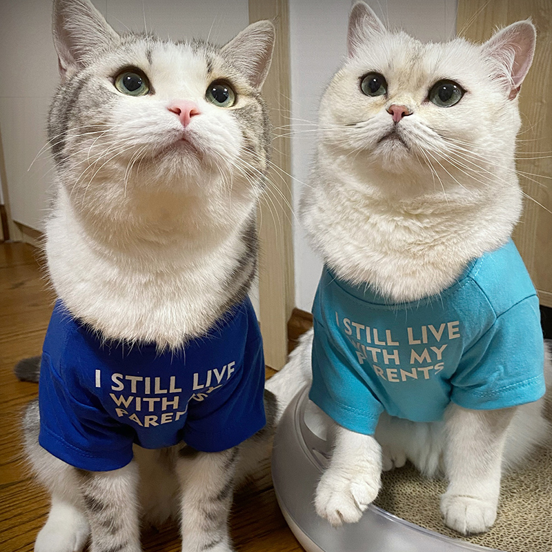 狗狗猫咪春夏短袖衣服舒适防掉毛