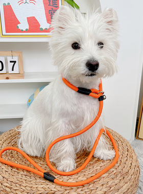 狗狗牵引绳狗绳链子p绳遛狗牵狗绳宠物小型犬中型犬防爆冲