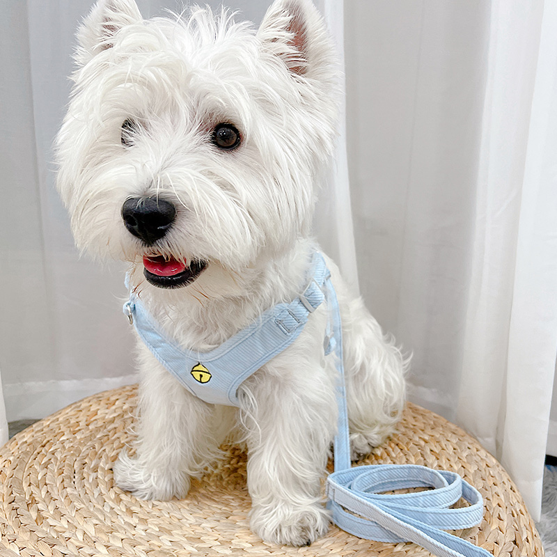 狗狗牵引绳猫咪胸背带狗绳遛狗猫绳小型犬胸背防挣脱外出神器遛猫