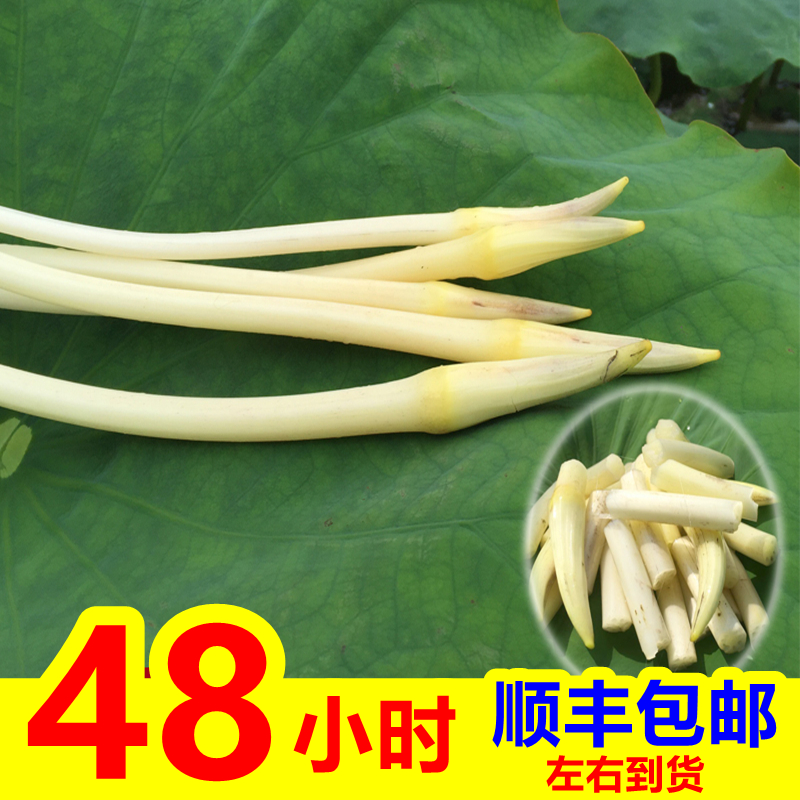 2025尖藕莲藕洪湖湖北现挖特产