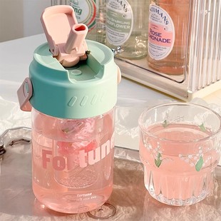 水杯女生高颜值新款 2025夏日大容量吸管杯学生上学专用泡茶水杯子