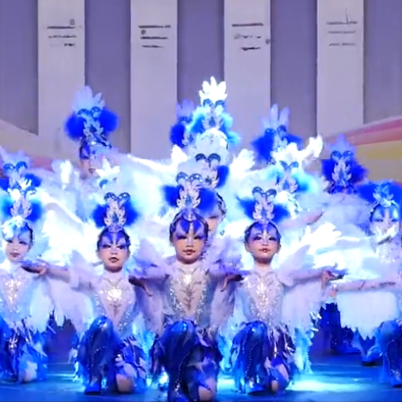 翼翔云天舞台演出服儿童舞蹈表演服小鸟动物造型服鸟鸟鸟舞蹈服