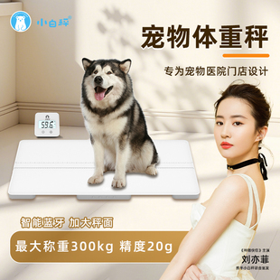 小白秤大型宠物体重秤地磅秤600斤宠物店医院称动物大型犬称重器