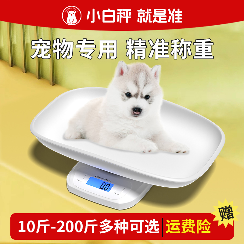 小白秤寵物體重秤家用電池