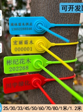 一次性煤矿银行树木标识号苗锁塑料封条医疗绑扎带封签标签牌挂牌