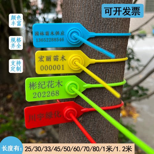 免费定制货运苗木煤矿封签锁扣