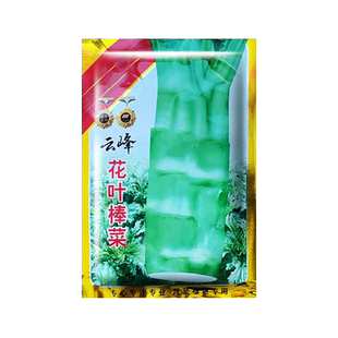 四川棒菜种子花叶青笋子临江芥菜种籽青菜秋冬四季蔬菜种籽大全