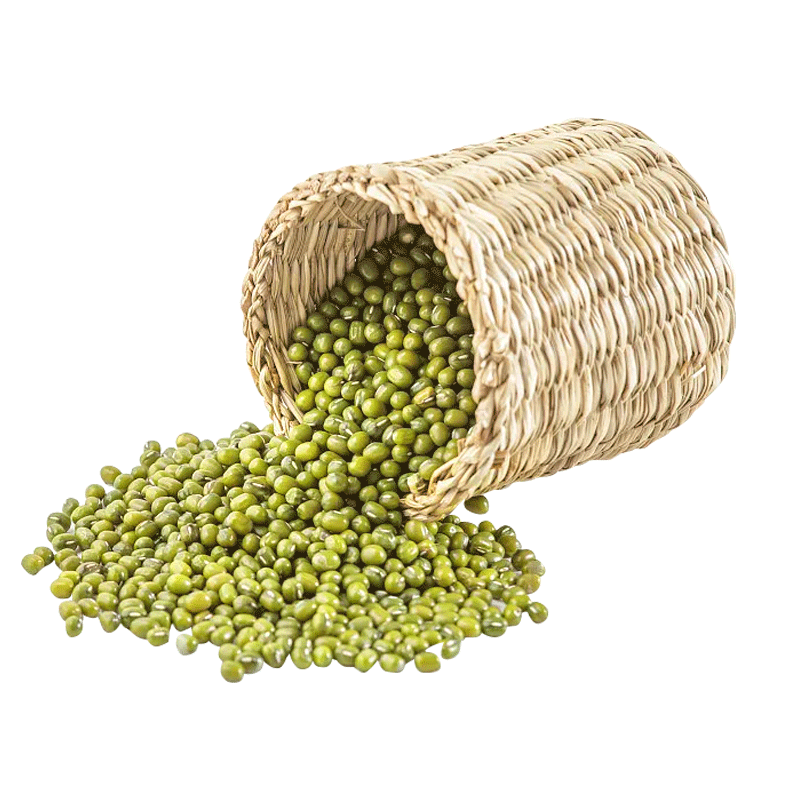 杂粮绿豆种子春秋四季水培绿豆芽种孑早熟高产农家芽苗菜蔬菜种籽