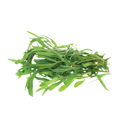 野生面条菜种籽大全四季