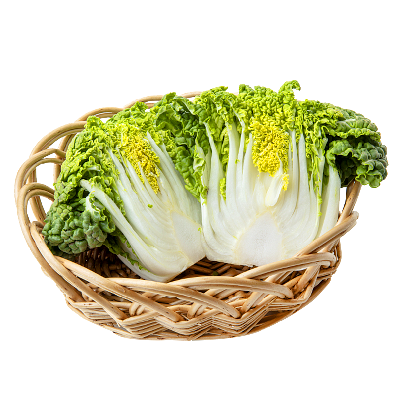 黄心乌塌菜种孑耐寒雪里黄金乌塌菜种子四季蔬菜菊花白菜乌塔菜籽