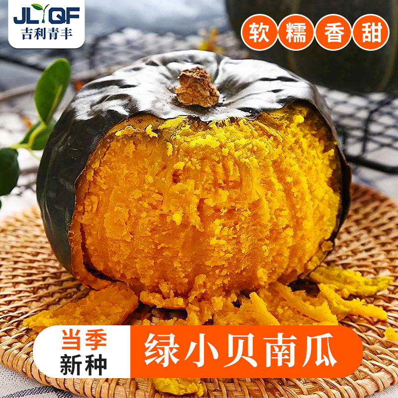 板栗贝贝南瓜种子网红奶油南瓜种籽春秋四季倭瓜种孑阳台蔬菜大全