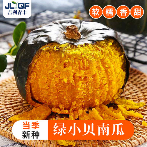 板栗贝贝南瓜种子四季奶油
