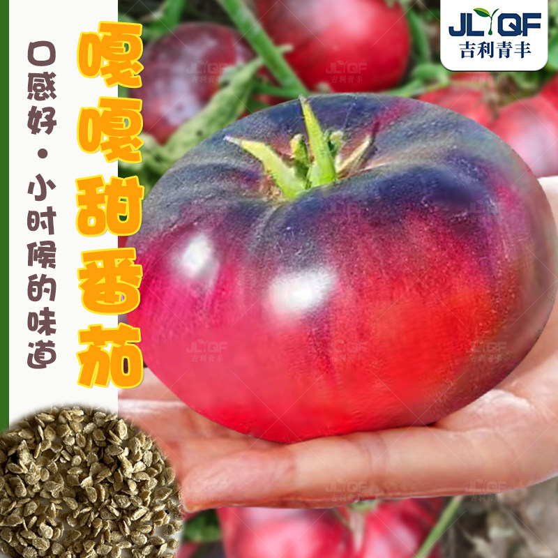 嘎嘎甜水果番茄种子农家老式西红柿种孑传家宝黑番茄种籽阳台盆栽,鲜花速递/花卉仿真/绿植园艺,家庭园艺种子,淘宝优惠券,粉丝福利购,淘宝优惠卷