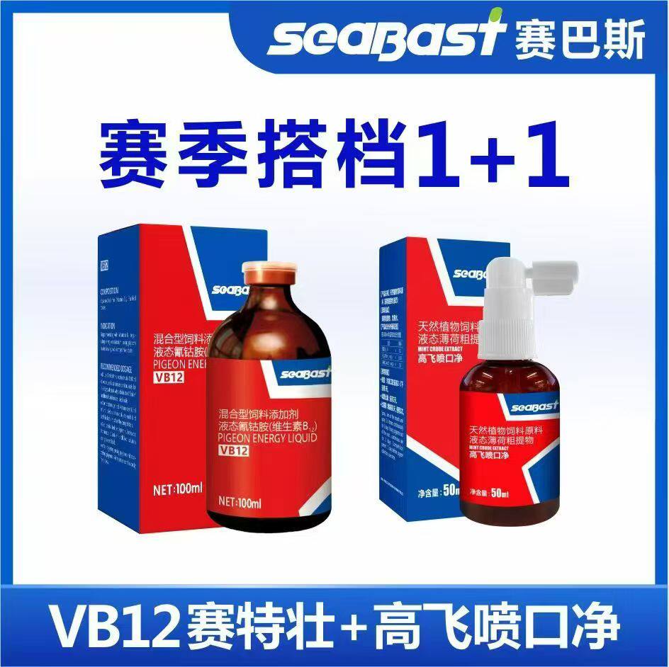 赛巴斯VB12赛特壮高飞喷口净