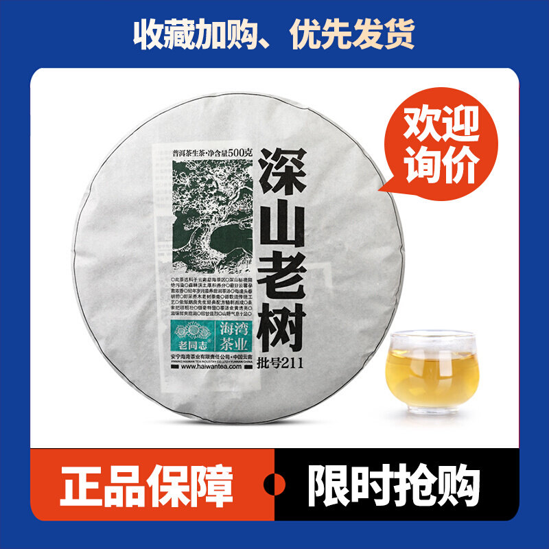 深山老树生茶老同志海湾茶业