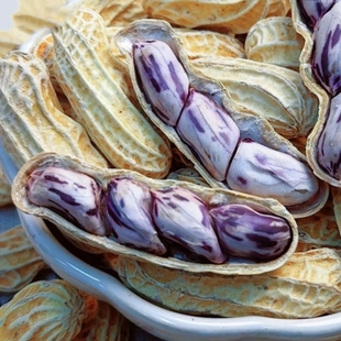 正宗新货福建龙岩七彩湿烤花生水煮咸香酥脆带壳盐水袋装 零食25年