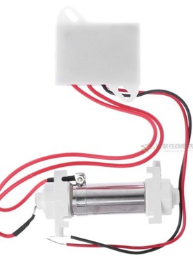 AC110V 220V 200mg Ozone Generator Tube  DIY Water Treatt Air