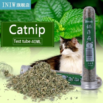 New  40ml Natural Catnip Cat Kitten Menthol Flavor Pet For I