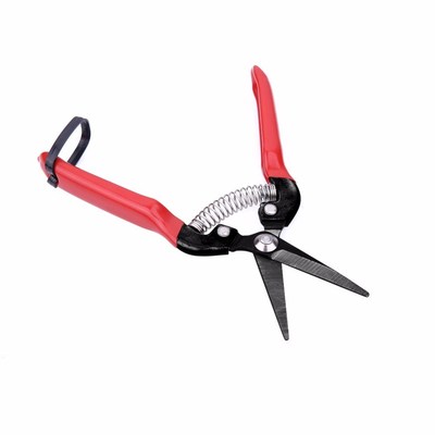 NEW Stainless Steel Pruners Garden Shears Pruning Shears Gar