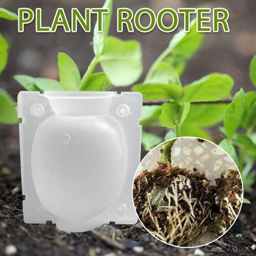 3 size Garden Plant high-pressure propagation box Sapling Pl