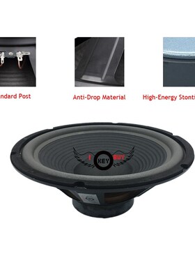 12 Inch Bass Subwoofer 4 Ohm 600W 120 Magnetic 305mm Loudspe