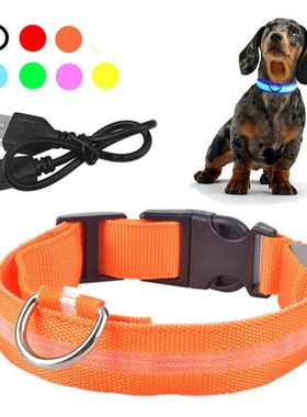 USB Rechargeable Pet Dog LED Glowing Collar Pet Luminous Fla