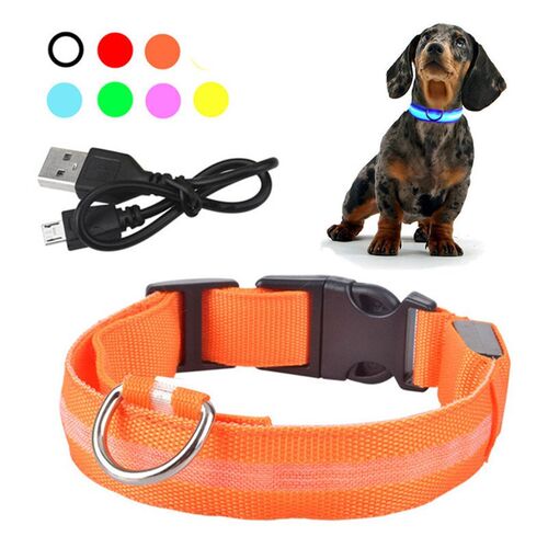 USB Rechargeable Pet Dog LED Glowing Collar Pet Luminous Fla