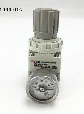IRV1000-01 IRV1000-01B IRV1000-01G IRV1000-01BG SMC Vacuum p