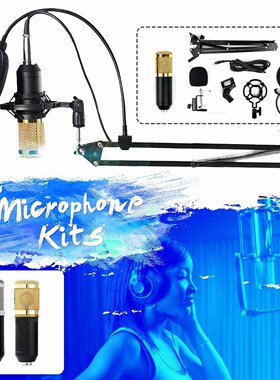 BM 800 Professional Live Studio Condenser Microphone Profes