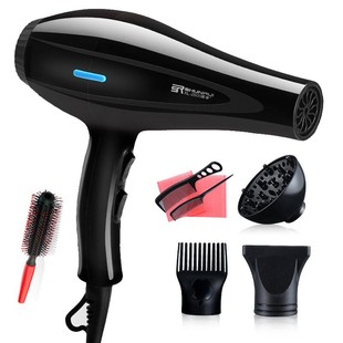 220V Hair Dryer Blow Air with Concentrator Nozzles Diffuser