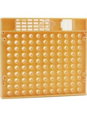 Beekeeping Queen Bee Rearing System Beehive For Beekeeper