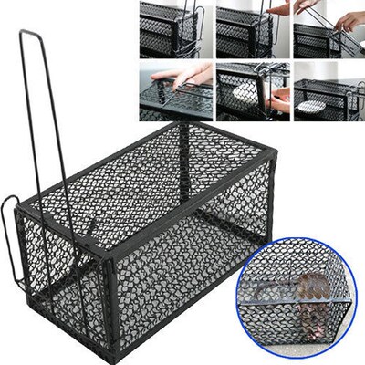 Mouse Trap Mouse Trap Home Fully Automatic And Efficient Mou