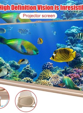 20 Inch Micro Projector Screen Foldable 169 Projection Scre