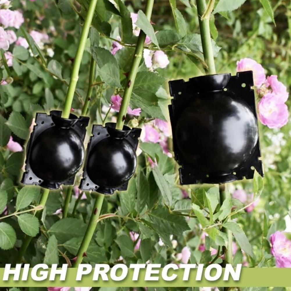 Bonsai High Pressure Branch Box Propagation Box Grafting