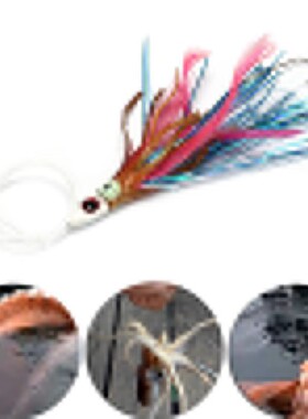 Outdoor Sport Fishing Bait Jigs Fishing Hook Lures Shrimp Lu