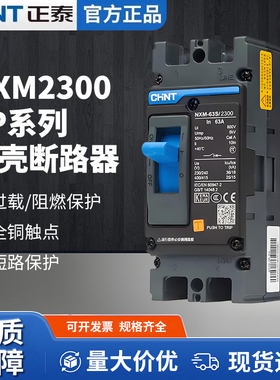 CHNT正泰NXM-125S 2300塑壳断路器总空气开关2P100A160A200A250A