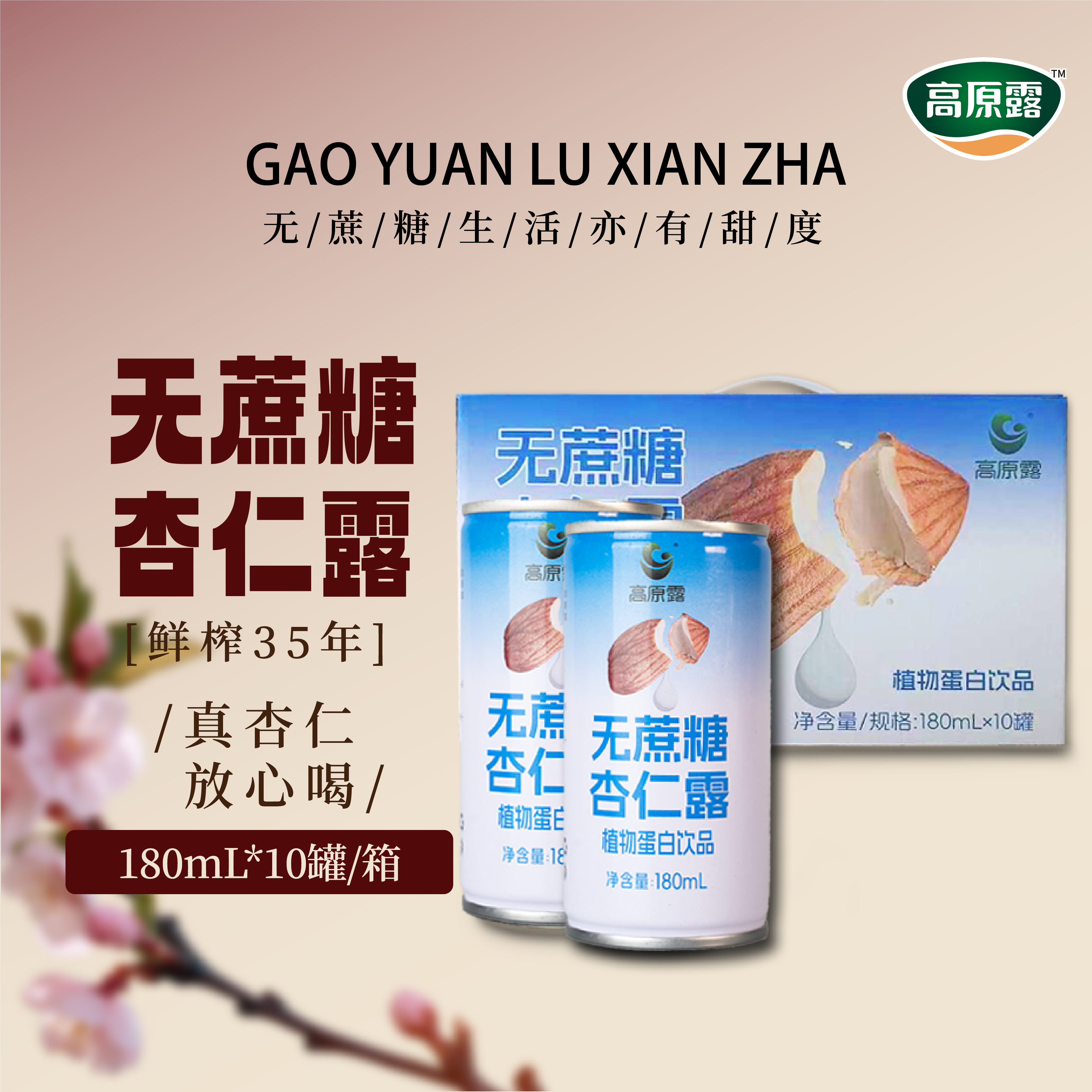 高原山杏 无蔗糖杏仁露 植物蛋白饮料