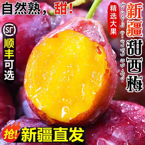 新疆甜西梅，新疆顺丰直发