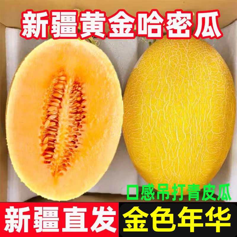 正宗新疆吐鲁番火焰山金色年华哈密瓜当季新鲜水果一整箱批发直发