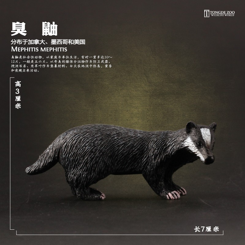 臭鼬模型仿真动物玩具环保材质