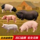童德仿真猪模型野生动物玩具农场家猪野猪小公母猪大白猪黑猪儿童