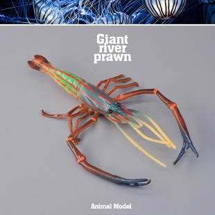 童德罗氏沼虾模型仿真海洋动物玩具淡水长臂大虾泰国虾儿童摆件