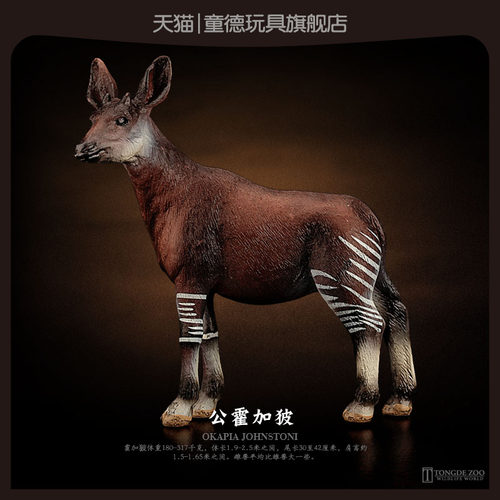 童德霍加狓PVC玩具模型
