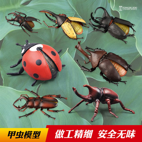 甲虫模型昆虫玩具环保材质无异味
