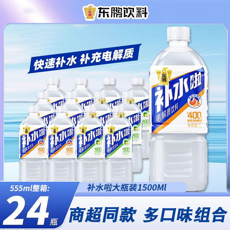 东鹏补水啦电解质饮料大瓶12整箱