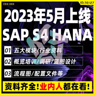 2023年SAP S4 HANA FICO MM PP SD项目培训调研蓝图配置文件资料
