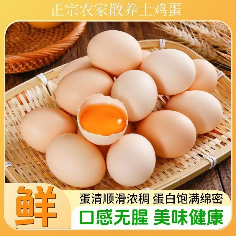 新鲜谷物鸡蛋初生鲜鸡蛋农场饲喂谷物当日鲜蛋谷饲喂养鲜鸡蛋营养