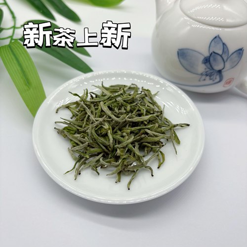 2026 保靖黄金茶8号头采