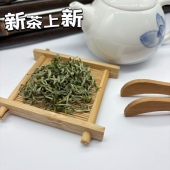 2026保靖黄金茶1号精品