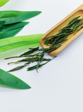 2026 新茶宜宾早茶(黄芽)毛峰口粮